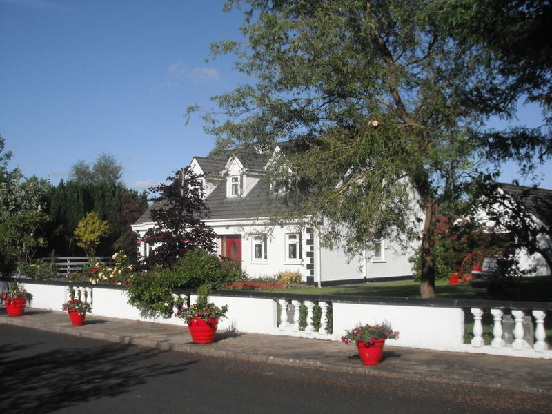 Briar Lodge Bunratty Luaran gambar