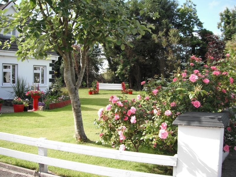 Briar Lodge Bunratty Luaran gambar